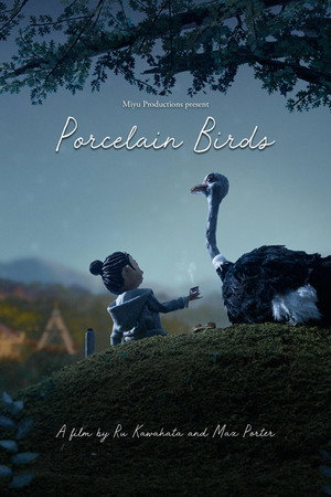 Porcelain Birds poster