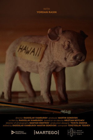 Hawaii poster
