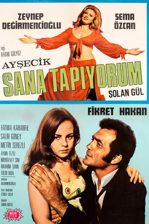 Sana Tapıyorum