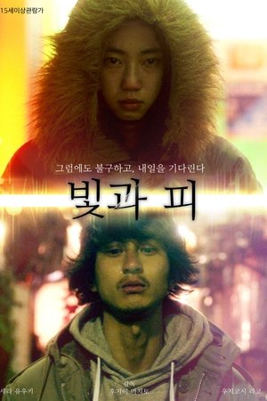 빛과 피
