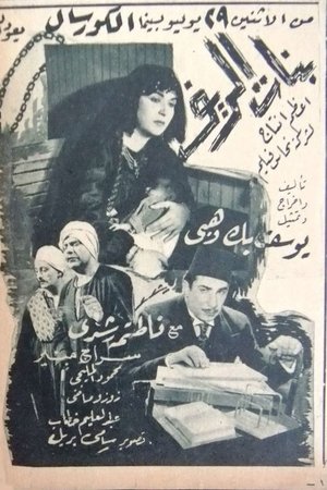 بنات الريف