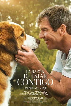 La Razón De Estar Contigo 2: Un Nuevo Viaje