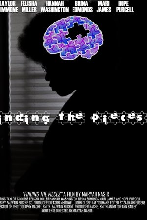 Finding The Pieces