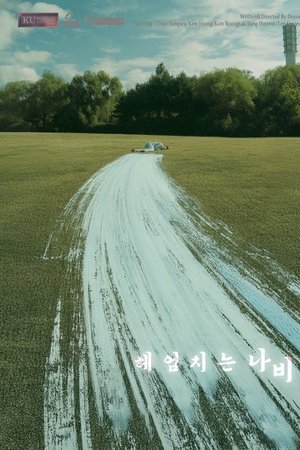 헤엄치는 나비