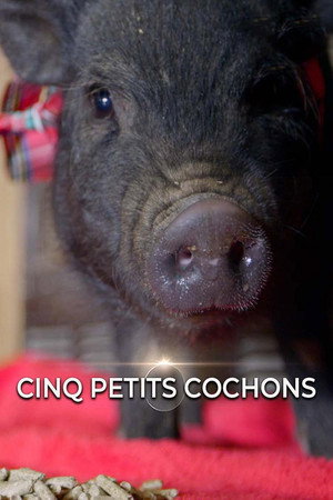 Cinq petits cochons poster