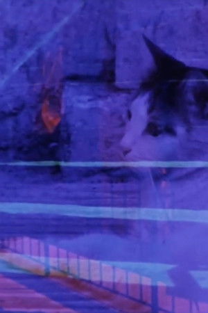 Poster of Austerity Measures