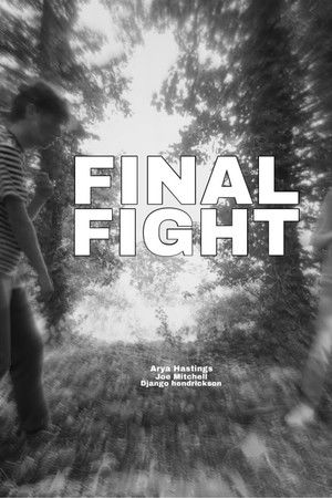 FINAL FIGHT