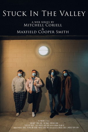 Stuck In The Valley- A Web Series