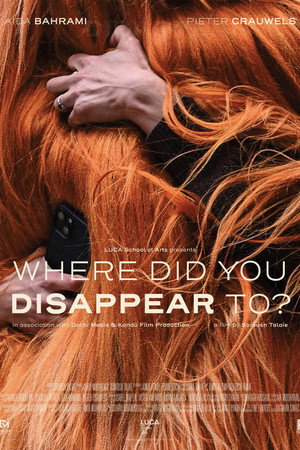 Where Did You Disappear to?