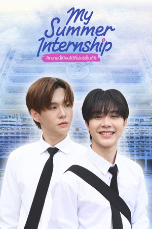 My Summer Internship