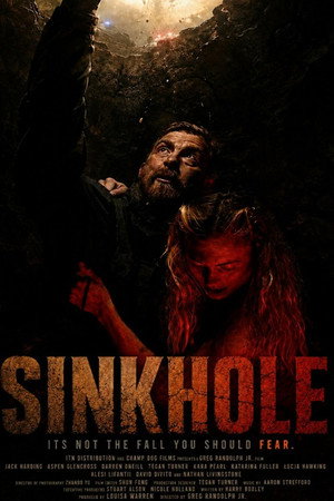 Sink Hole poster