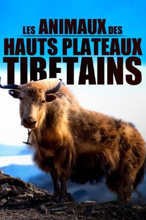 Les animaux des hauts plateaux tibétains poster