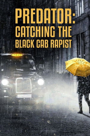Predator: Catching the Black Cab Rapist poster