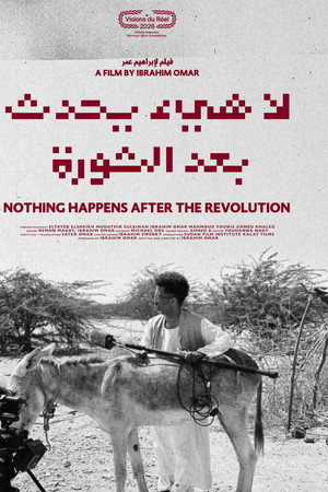 Nothing Happens After the Revolution poster