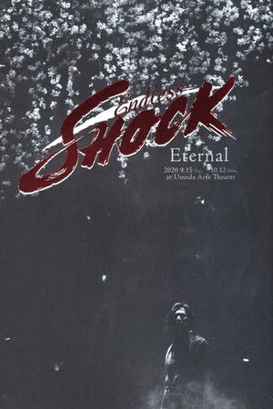 Endless SHOCK 20th Anniversary -Eternal-