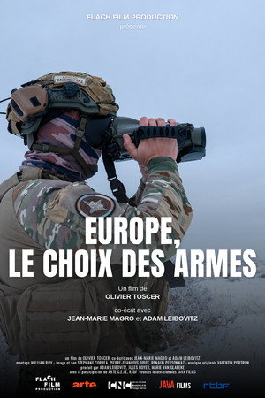 Europe, le choix des armes