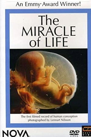 The Miracle of Life poster
