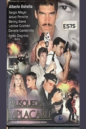 Búsqueda implacable poster