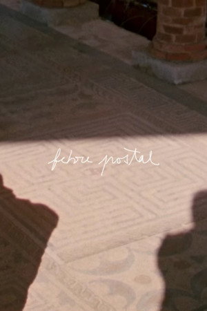 Postal Fever poster
