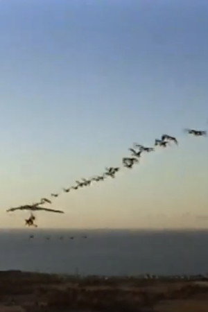 The Ultra Geese