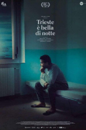 Trieste Shines at Night poster
