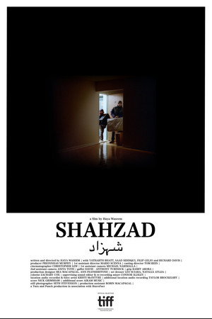 Shahzad poster