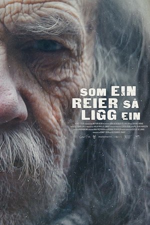 Som ein reier så ligg ein