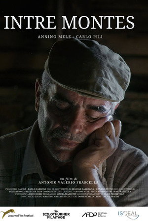 Intre montes poster