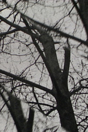Triple Exposure poster