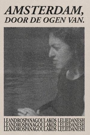 Amsterdam, through the eyes of