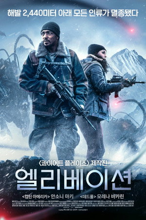 엘리베이션