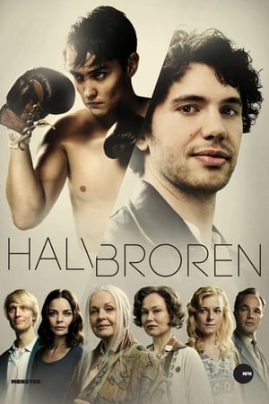 Halvbroren