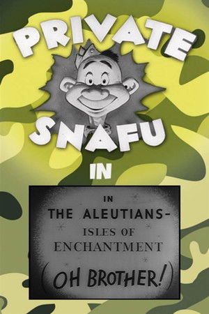Poster of In the Aleutians