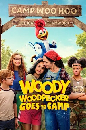 Woody Woodpecker Goes to Camp poster