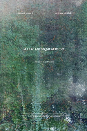 In Case You Forgot to Return poster