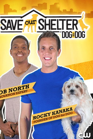 Save Our Shelter