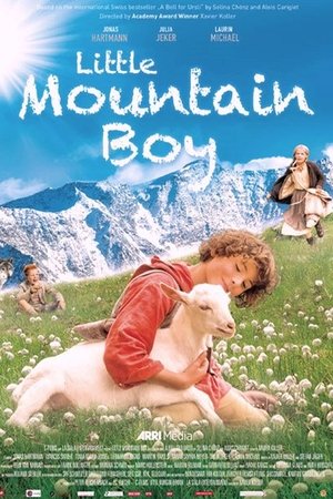 Little Mountain Boy