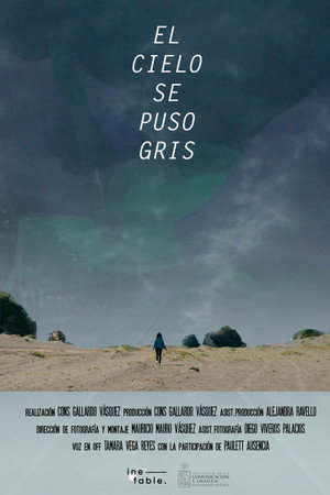 The Sky Turned Gray poster