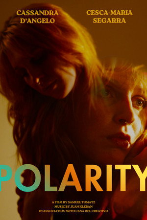 Polarity poster
