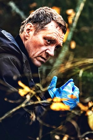 Bordertown: Murales de sangre