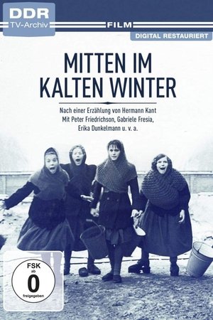 Mitten im kalten Winter