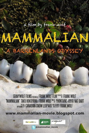 Mammalian Mammalian