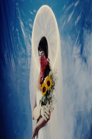 Sunset Fever poster