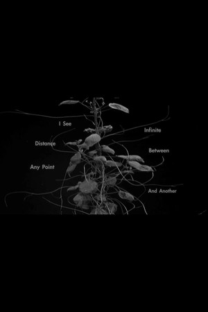 I See Infinite Distance Between Any Point and Another I See Infinite Distance Between Any Point and Another