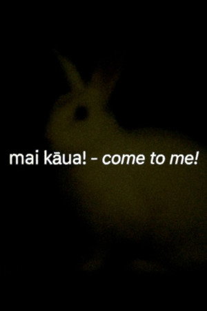 kāua - we (you and i) poster