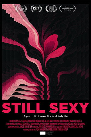 Still Sexy poster