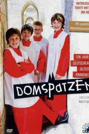 Domspatzen - Ein Jahr mit Deutschlands ältestem Knabenchor