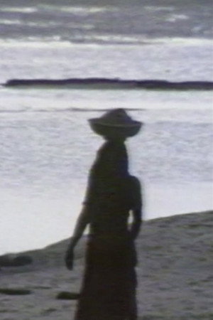 Sable poster