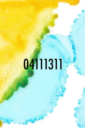04111311 poster