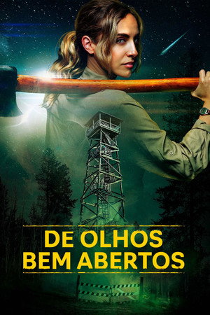 Poster do filme Lookout